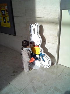 miffy0220080127.jpg